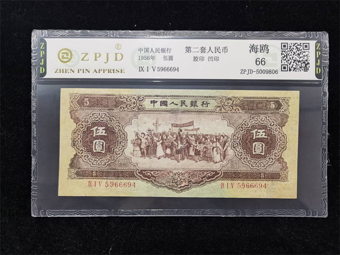 ZPJD-5009806